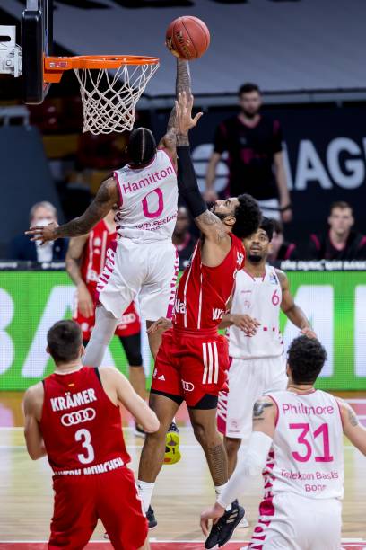 低价引进 低价引进